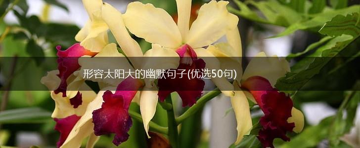 形容太阳大的幽默句子(优选50句),第1张