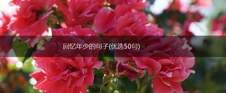 回忆年少的句子(优选50句),第1张