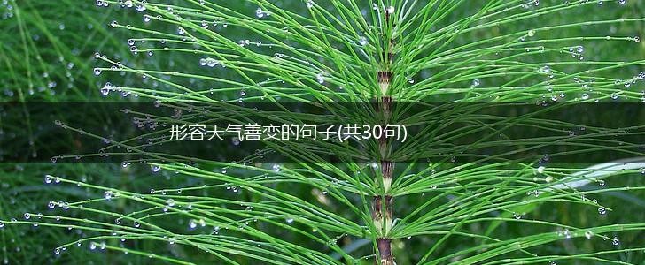 形容天气善变的句子(共30句),第1张