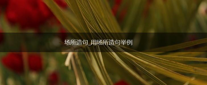 场所造句_用场所造句举例,第1张