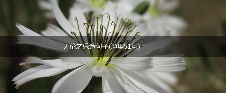 天伦之乐造句子(通用51句),第1张