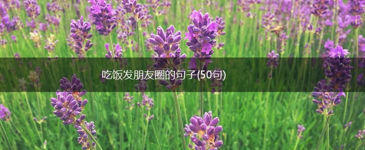 吃饭发朋友圈的句子(50句),第1张