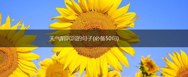 天气阴沉沉的句子(必备50句),第1张