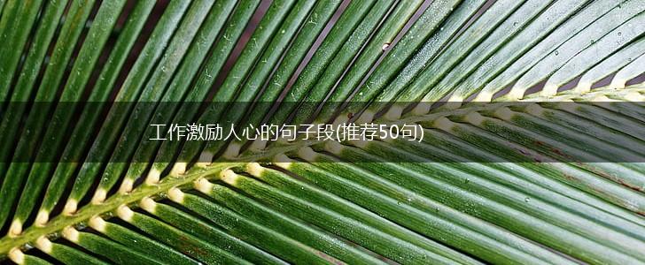 工作激励人心的句子段(推荐50句),第1张