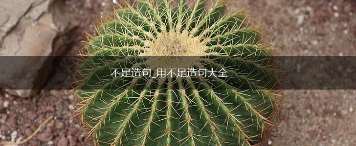 不足造句_用不足造句大全,第1张