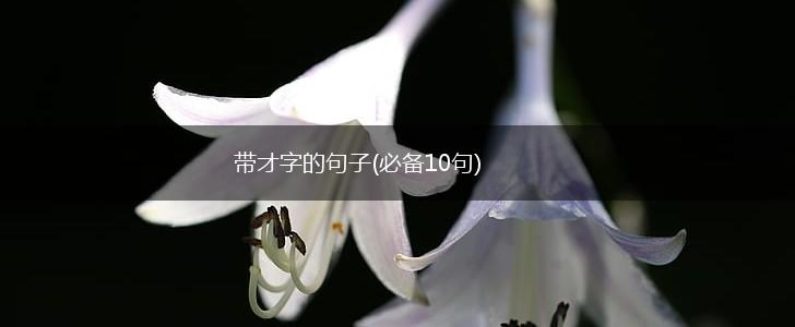 带才字的句子(必备10句),第1张