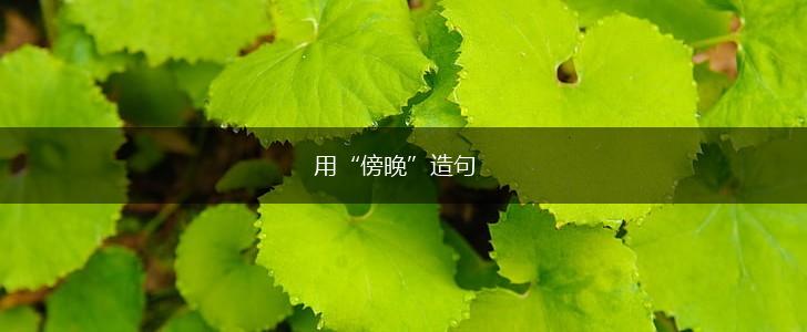 用“傍晚”造句,第1张