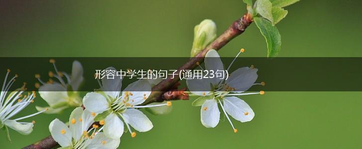 形容中学生的句子(通用23句),第1张