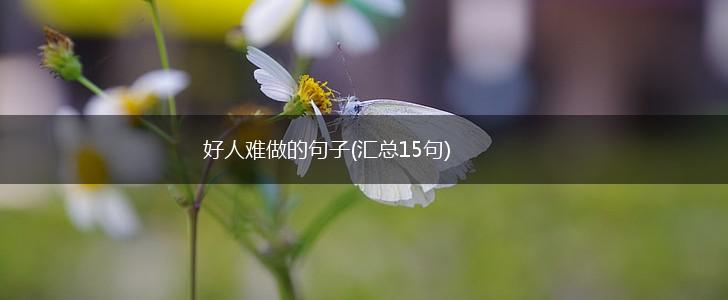 好人难做的句子(汇总15句),第1张