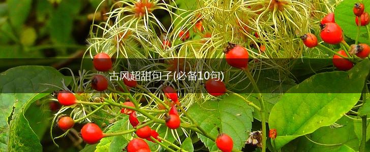古风超甜句子(必备10句),第1张