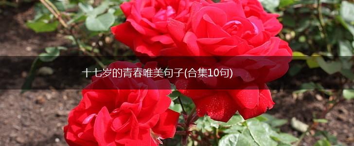 十七岁的青春唯美句子(合集10句),第1张