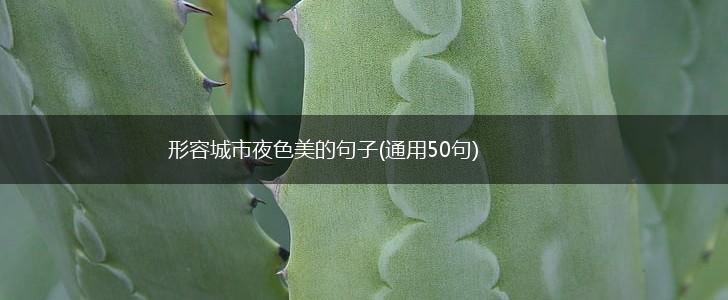 形容城市夜色美的句子(通用50句),第1张
