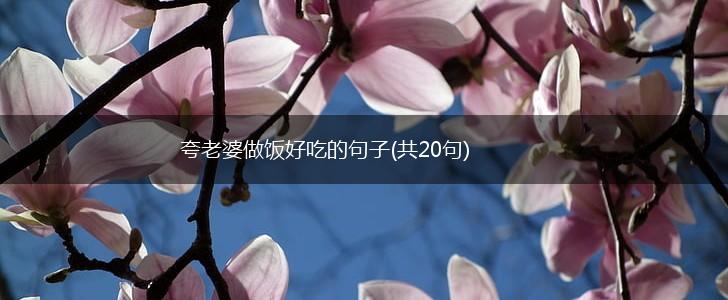 夸老婆做饭好吃的句子(共20句),第1张