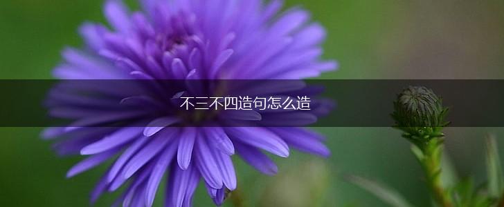 不三不四造句怎么造,第1张