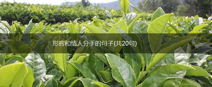 形容和情人分手的句子(共20句),第1张