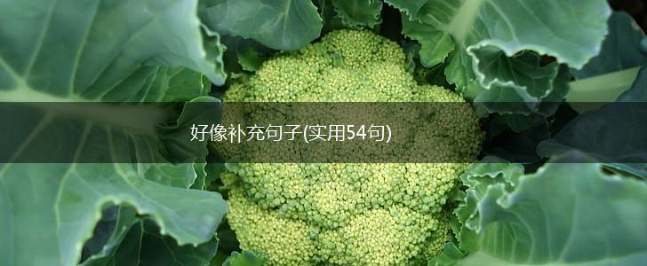 好像补充句子(实用54句),第1张