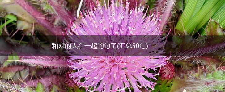 和对的人在一起的句子(汇总50句),第1张