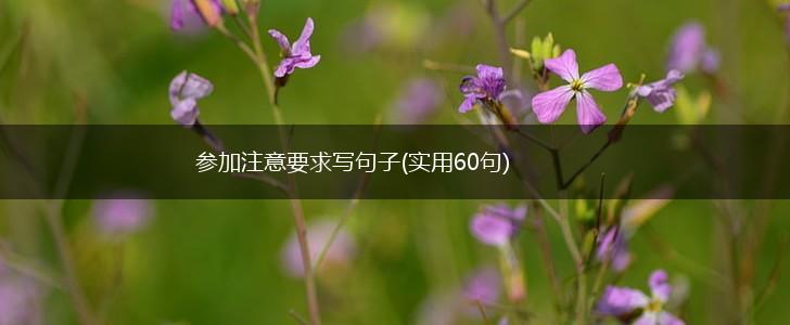 参加注意要求写句子(实用60句),第1张