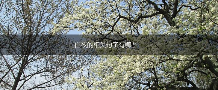 白夜的相关句子有哪些,第1张