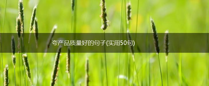 夸产品质量好的句子(实用50句),第1张