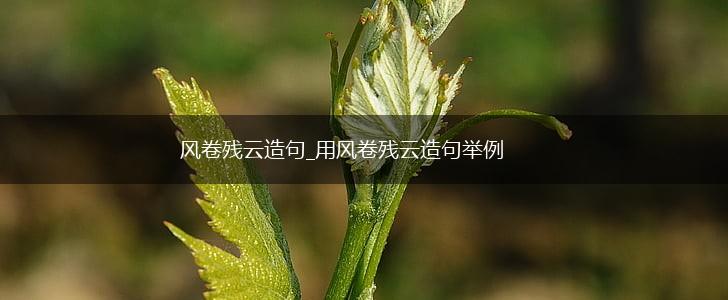 风卷残云造句_用风卷残云造句举例,第1张 风卷残云造句_用风卷残云造句举例,第1张