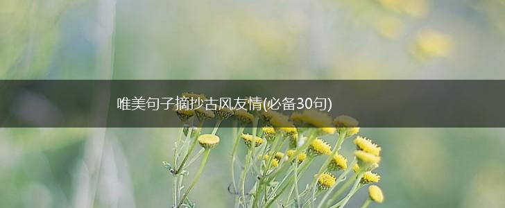 唯美句子摘抄古风友情(必备30句),第1张