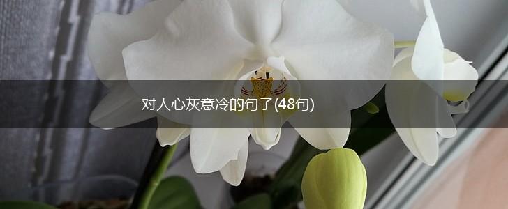 对人心灰意冷的句子(48句),第1张