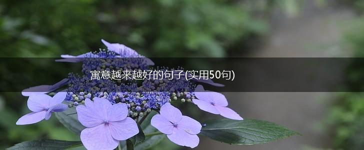 寓意越来越好的句子(实用50句),第1张