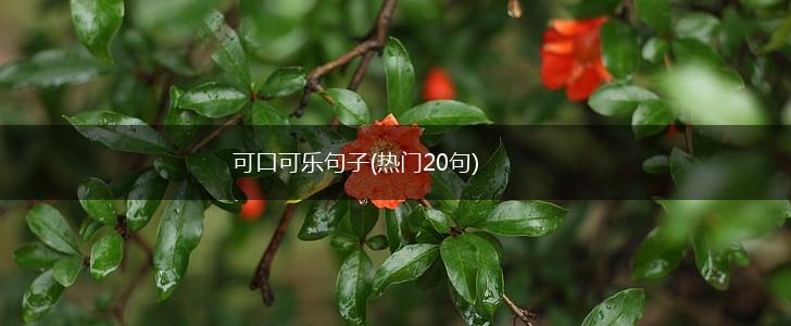 可口可乐句子(热门20句),第1张