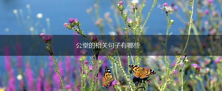 公堂的相关句子有哪些,第1张 公堂的相关句子有哪些,第1张