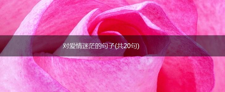 对爱情迷茫的句子(共20句),第1张