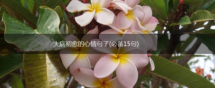 大病初愈的心情句子(必备15句),第1张