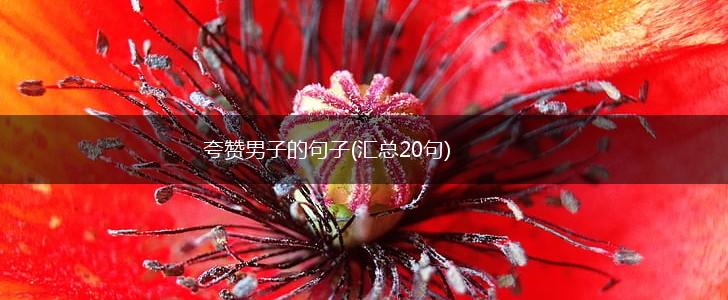 夸赞男子的句子(汇总20句),第1张