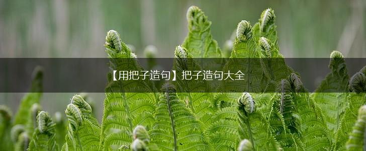 【用把子造句】把子造句大全,第1张