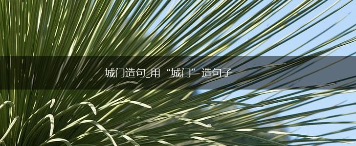城门造句_用“城门”造句子,第1张
