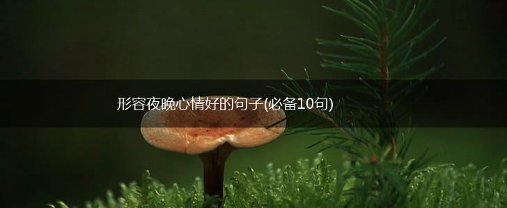 形容夜晚心情好的句子(必备10句),第1张
