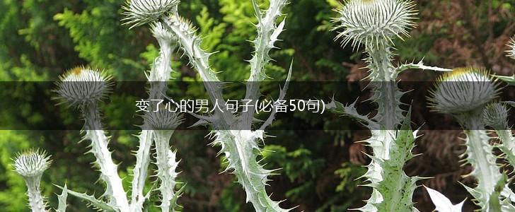 变了心的男人句子(必备50句),第1张