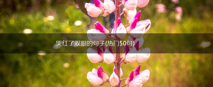 哭红了双眼的句子(热门50句),第1张