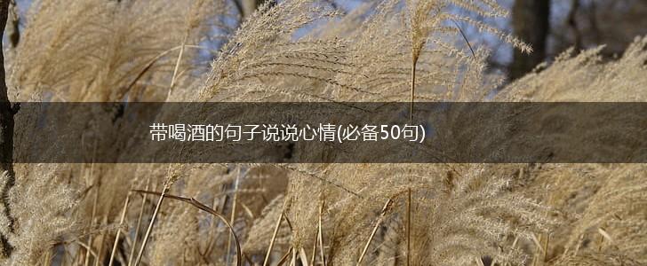 带喝酒的句子说说心情(必备50句),第1张