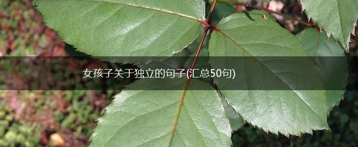 女孩子关于独立的句子(汇总50句),第1张