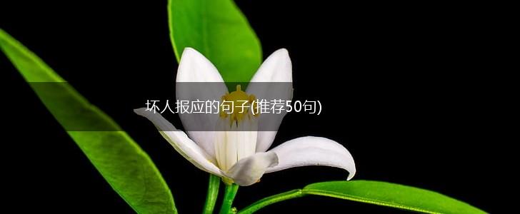 坏人报应的句子(推荐50句),第1张