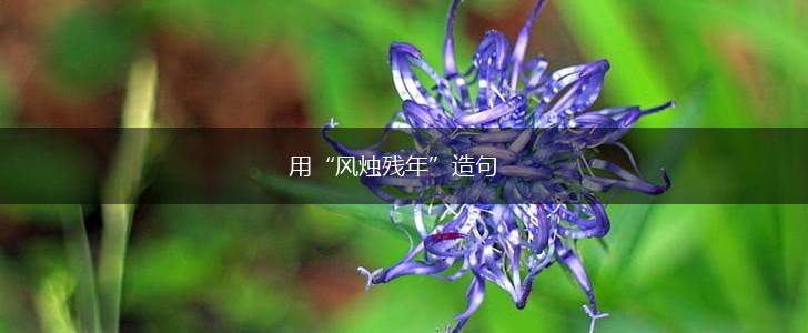 用“风烛残年”造句,第1张 用“风烛残年”造句,第1张