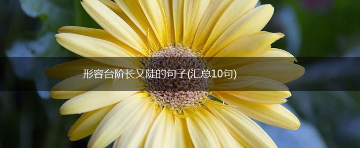 形容台阶长又陡的句子(汇总10句),第1张