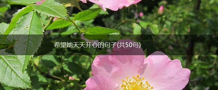 希望她天天开心的句子(共50句),第1张