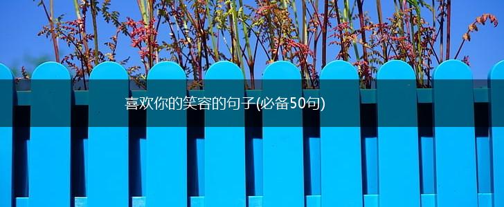 喜欢你的笑容的句子(必备50句),第1张