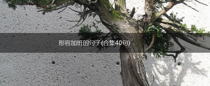 形容加班的句子(合集40句),第1张