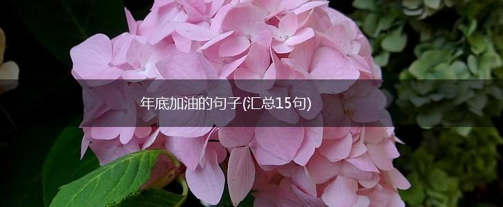 年底加油的句子(汇总15句),第1张