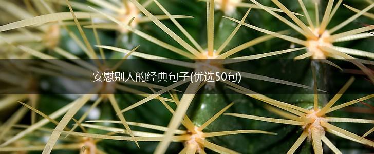 安慰别人的经典句子(优选50句),第1张