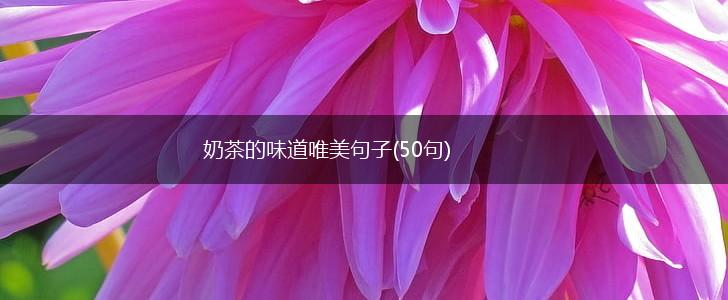 奶茶的味道唯美句子(50句),第1张