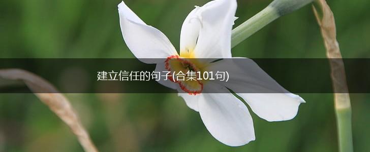 建立信任的句子(合集101句),第1张